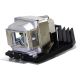 INFOCUS IN25+ Original Inside Projector Lamp - Replaces SP-LAMP-039