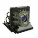 base_image_label-301074-OI61954