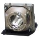 725-10028 Projector Lamp for DELL projectors