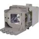 XX5050000500 Projector Lamp for VIVITEK DX255