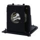 BL-FU250E / SP.L3703.001 Projector Lamp for OPTOMA THEMESCENE H77