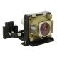 TDPLD1 / TDPLD2 Projector Lamp for TOSHIBA TDP D2