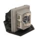 OPTOMA DAEPTTL Original Inside Projector Lamp - Replaces BL-FP280B / SP.88E01GC01