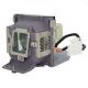 Genuine ACER X1130P Projector Lamp - EC.J9000.001