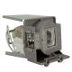 OPTOMA DAEXUUZST Original Inside Projector Lamp - Replaces BL-FP240A / FX.PE884-2401 / FE.PE884-2401