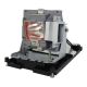 BL-FU310B / DE.5811118436-SOT Projector Lamp for OPTOMA DH1017