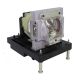 DUKANE ImagePro 9010 Original Inside Projector Lamp - Replaces 456-9010