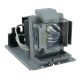 VIVITEK D756USTi Original Inside Projector Lamp - Replaces 5811118004-SVV