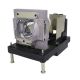 DIGITAL PROJECTION PROJECTION MVISION 930 WUXGA 3D Original Inside Projector Lamp - Replaces 114-318