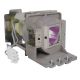 OPTOMA HD421X Original Inside Projector Lamp - Replaces SP.8VH01GC01 / SP.73701GC01 / BL-FP190E