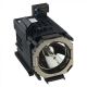 SONY SRX-T615 Original Inside Projector Lamp - Replaces LKRM-U330S / LKRM-U331S