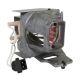 OPTOMA HD29HSTx Original Inside Projector Lamp - Replaces BL-FU245A / SP.7FM01GC01