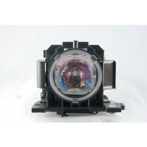 base_image_label-100007-59832