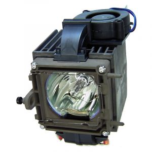 base_image_label-300761-OI54806
