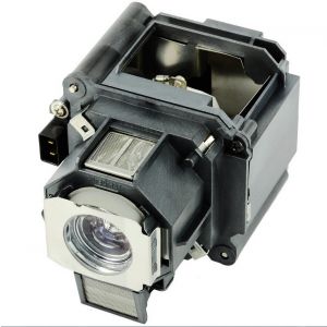 base_image_label-300975-OI61697